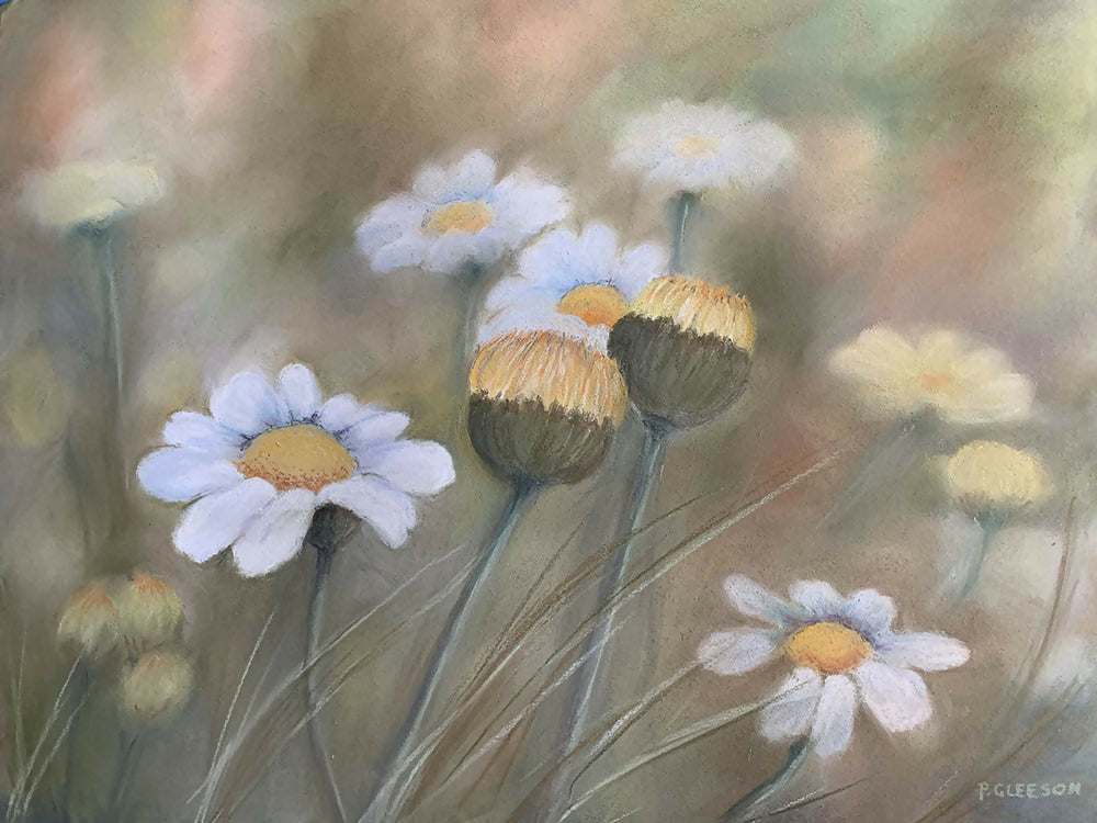 Daisies-by-Pamela Gleeson-original art-Gioia