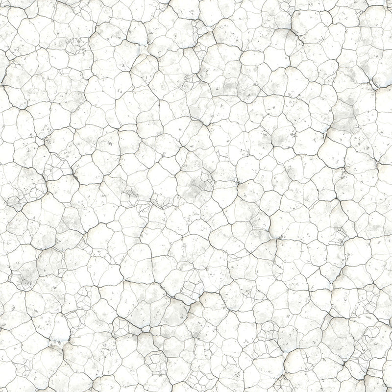 Eggshell Stone Wallpaper