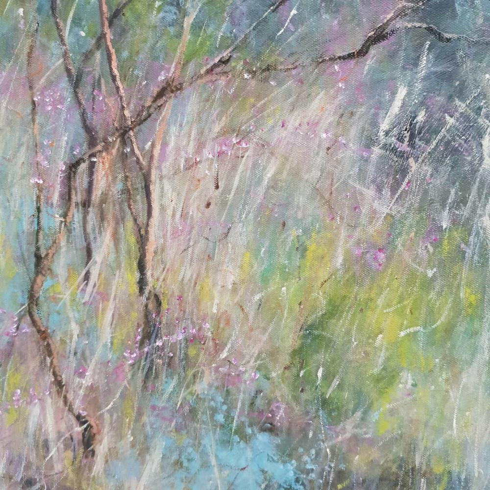 Bushwalk 1