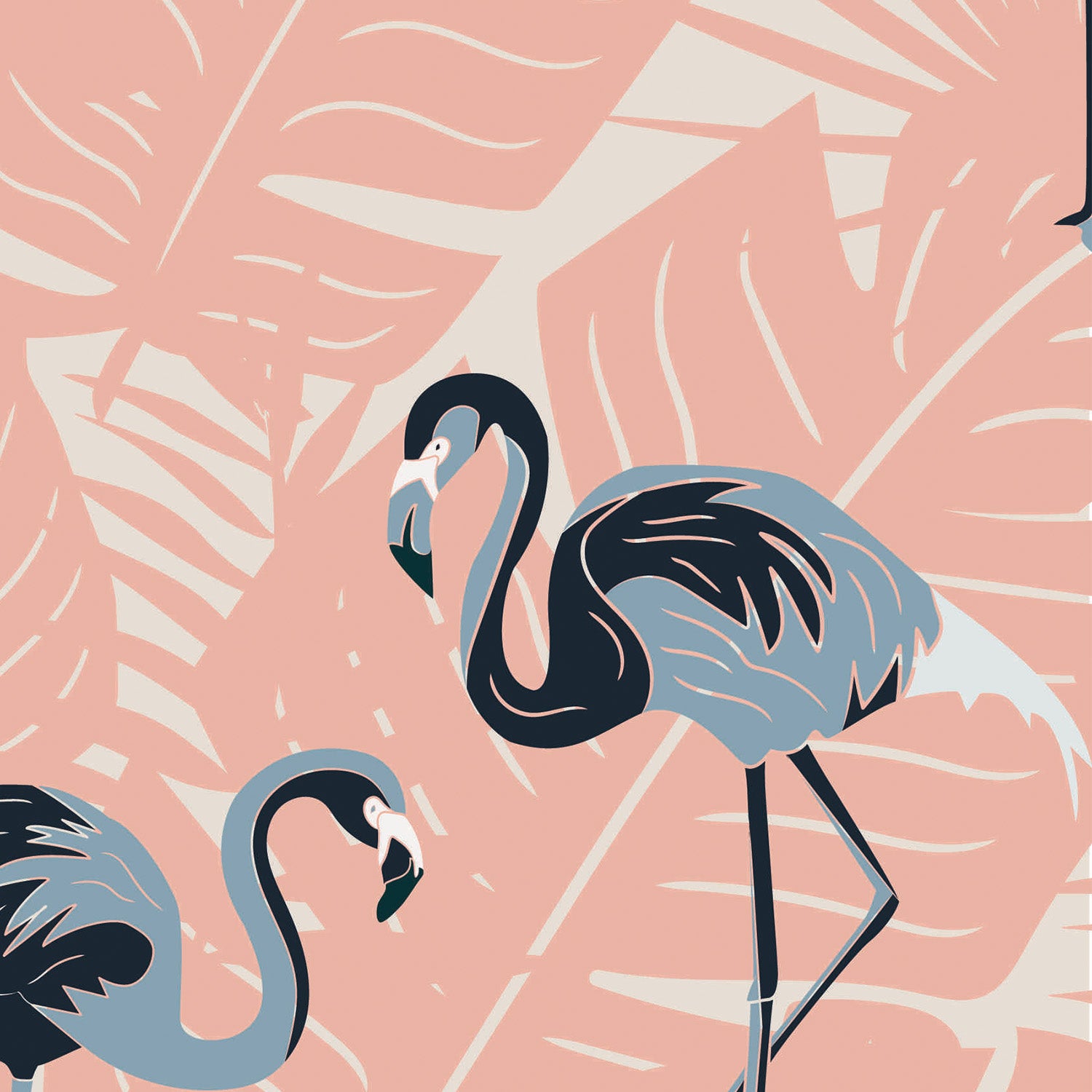 Flamingoes Cantaloupe