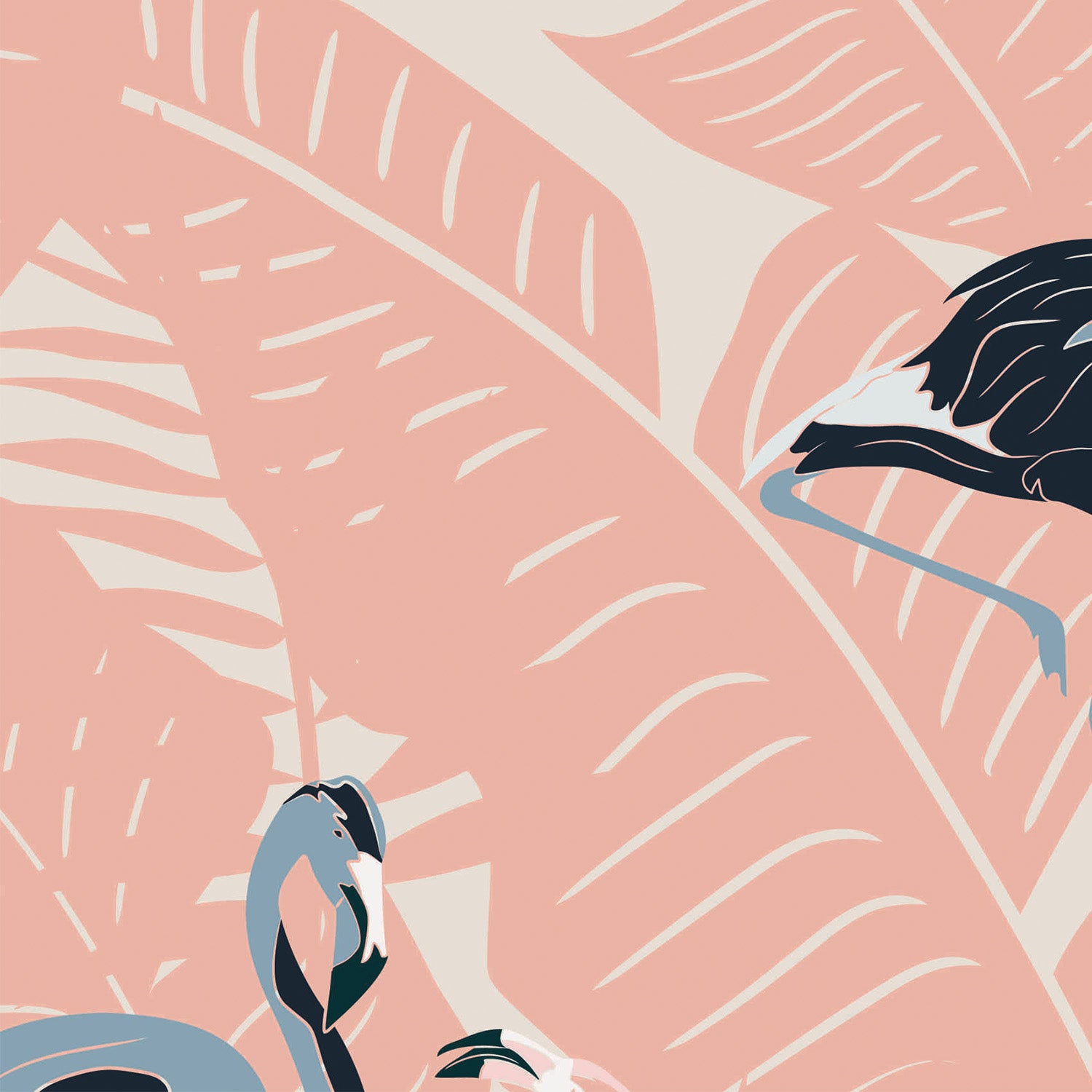 Flamingoes Cantaloupe