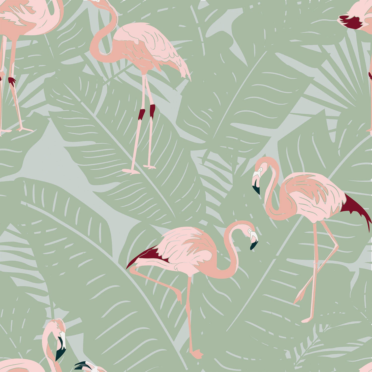 Flamingoes Sage