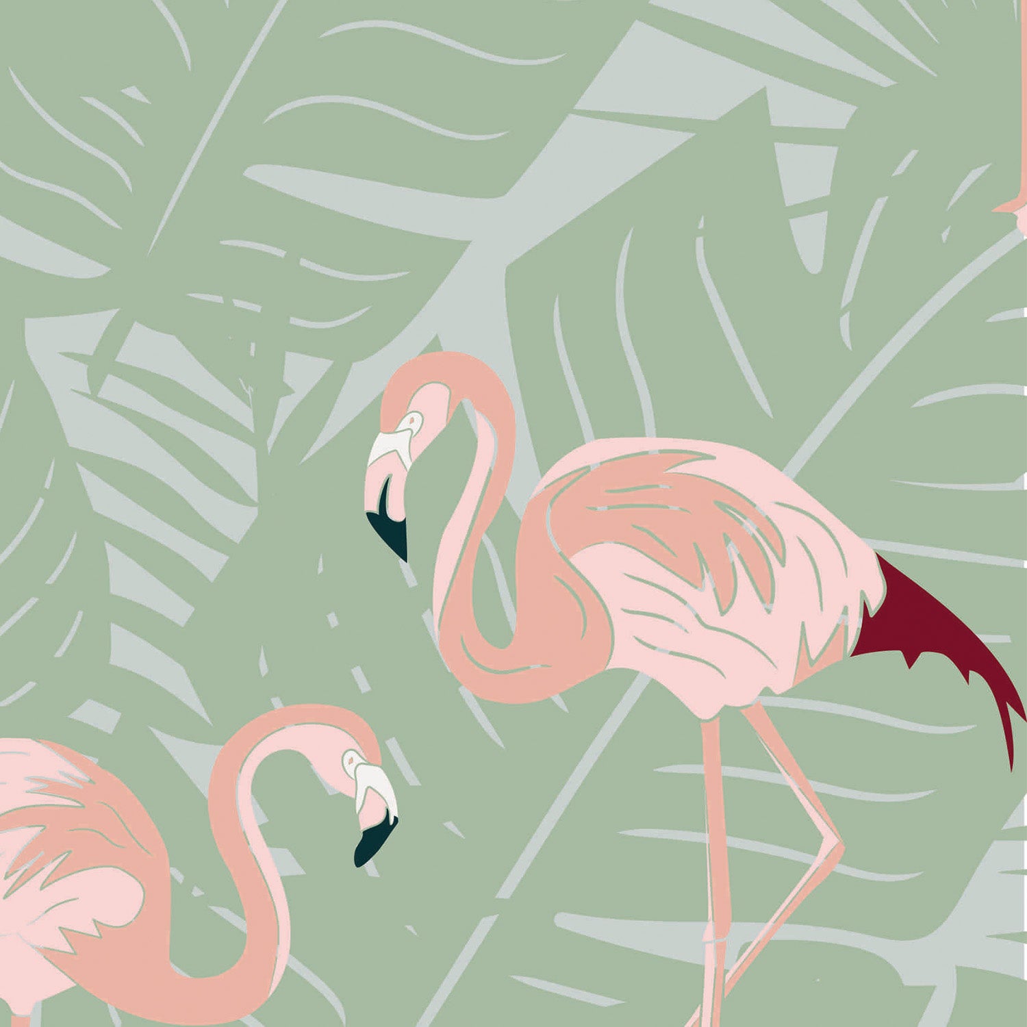 Flamingoes Sage