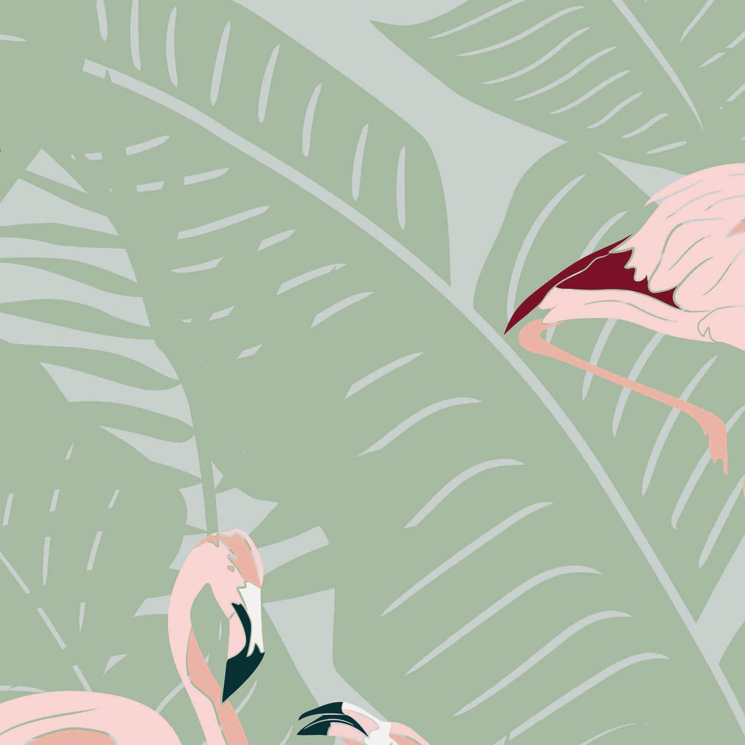 Flamingoes Sage