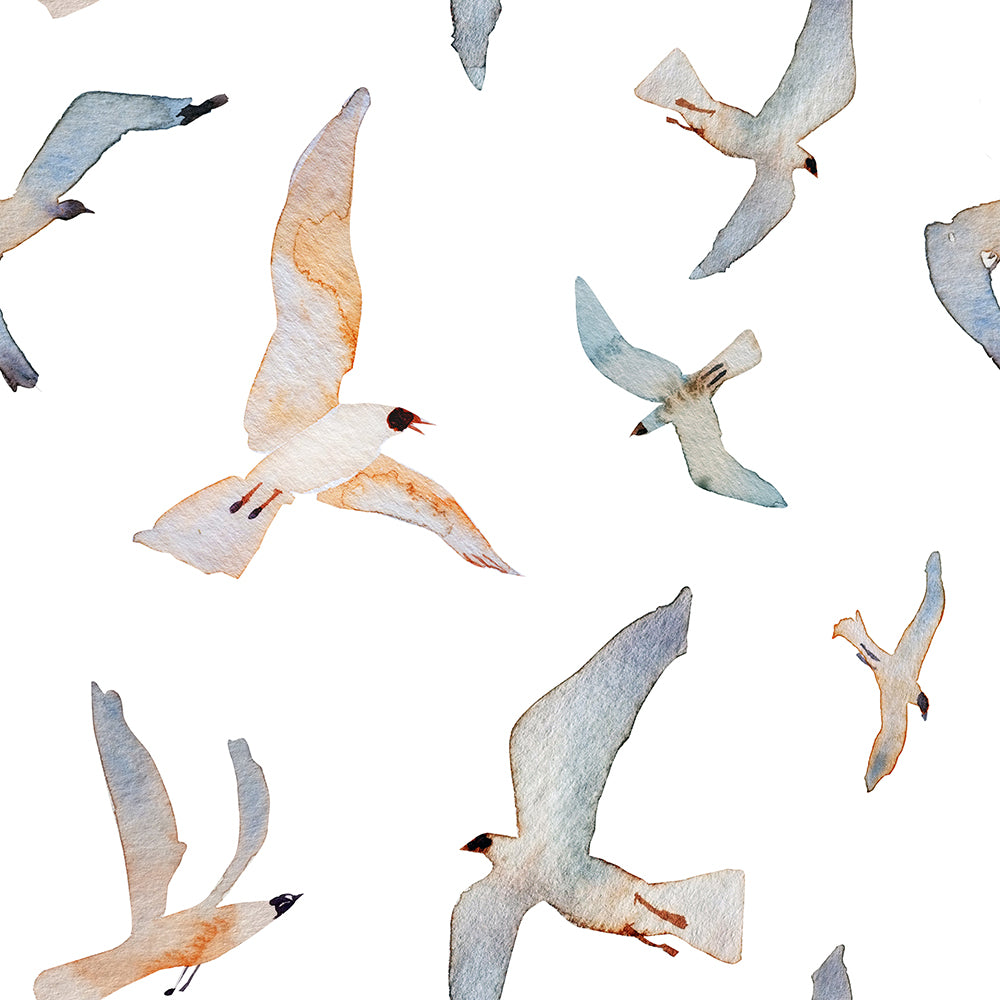 Flying Coastal Birds-wallpaper-eco-friendly-easy-removal-Gioia Wall Art-1