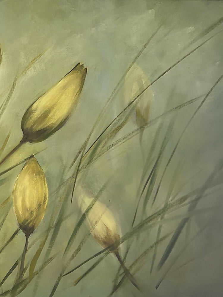 Wild Tulips