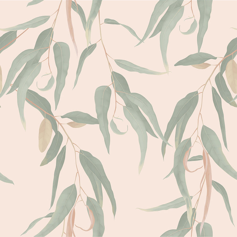 Gum leaf Wallpaper