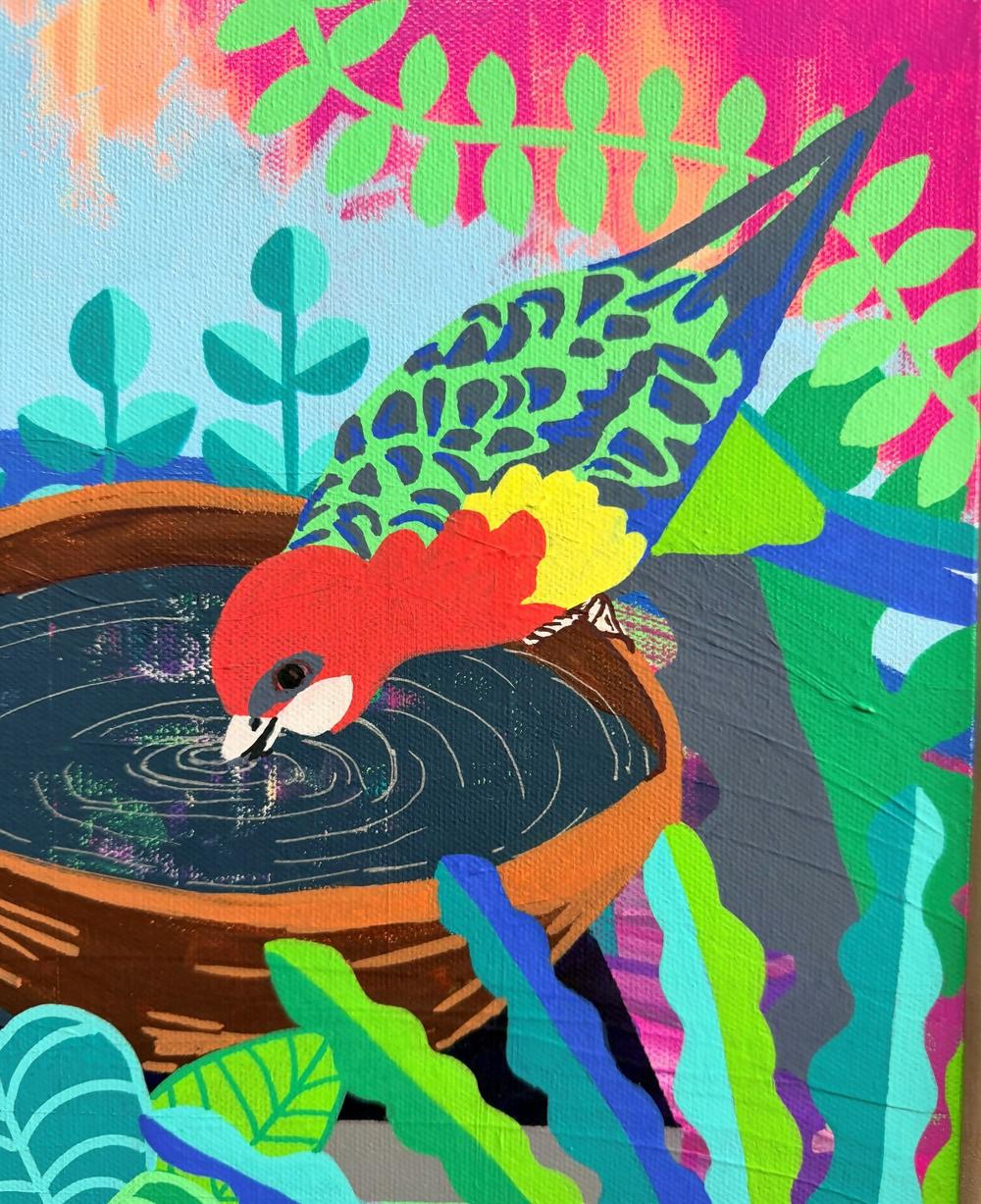 Rest for a Rosella