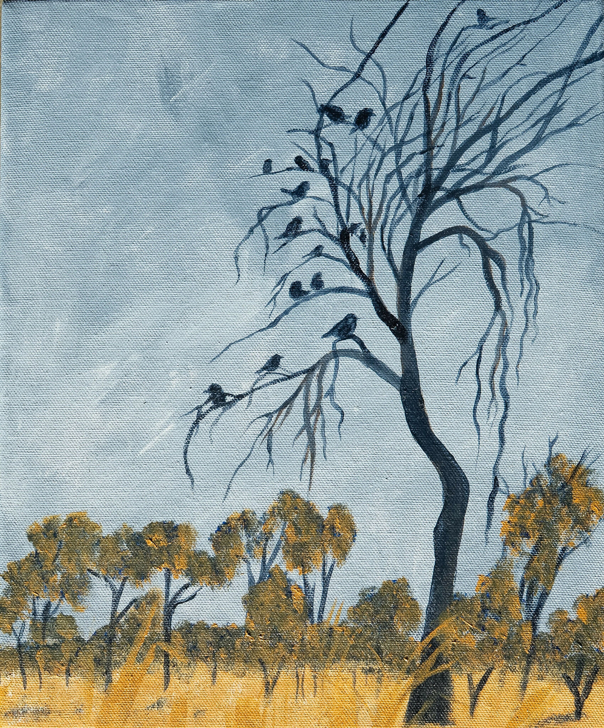 Wood Swallows
