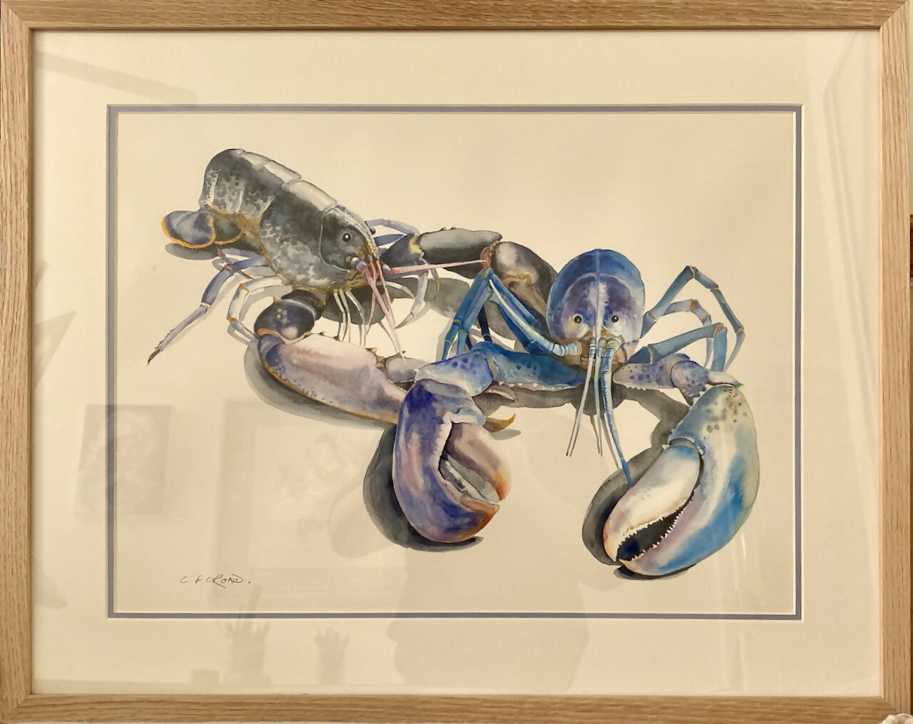 Lobster Duo
