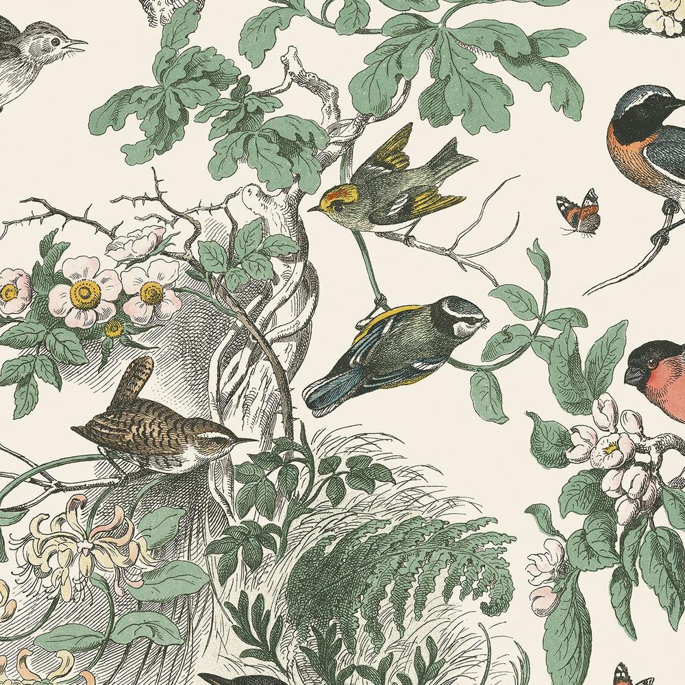 Honeybloom Bird Pattern IA-wallpaper-eco-friendly-easy-removal-Wild Apple Portfolio-3