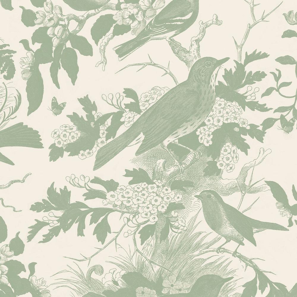 Honeybloom Bird Pattern IB-wallpaper-eco-friendly-easy-removal-Wild Apple Portfolio-4