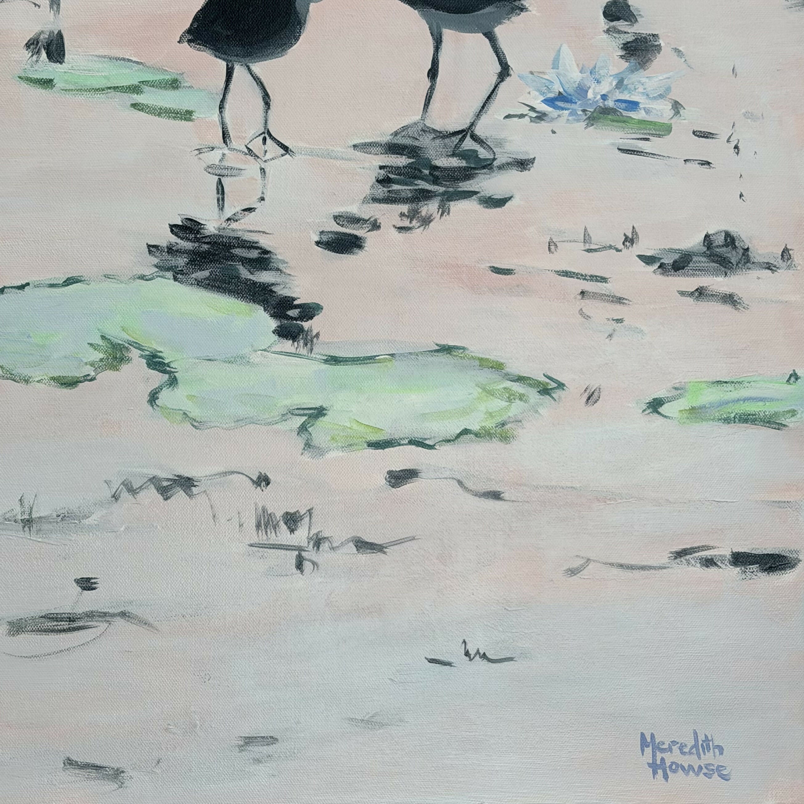Kakadu Jacana