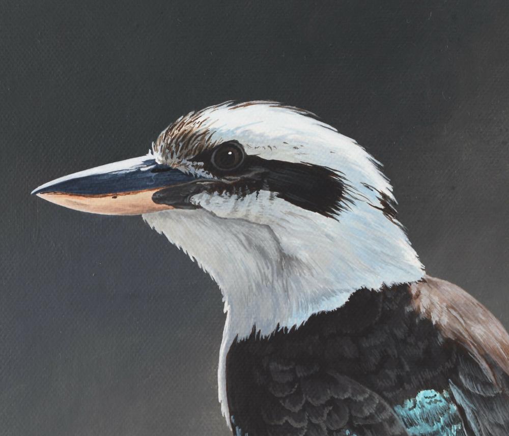 Illuminated - Laughing Kookaburra-by-Dario Zanesco Original Art-original art-Gioia
