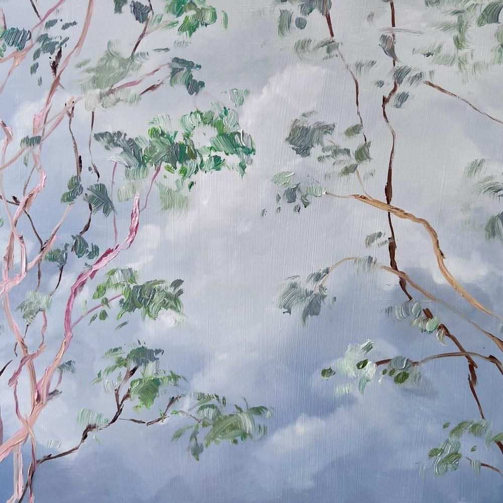 Illumination Gum Tree Clouds , Original Artwork-by-Meredith Howse-original art-Gioia