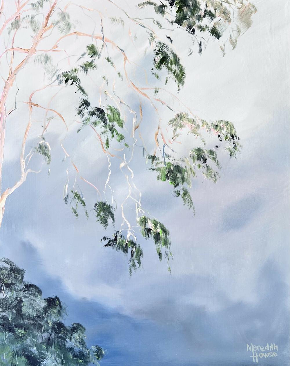 Illumination Gum Tree Sky , Original Artwork-by-Meredith Howse-original art-Gioia