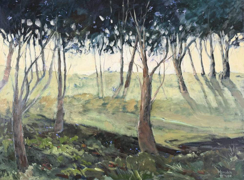 Illumination of Woonga. Original hand-painted artwork by Meredith Howse.-by-Meredith Howse-original art-Gioia