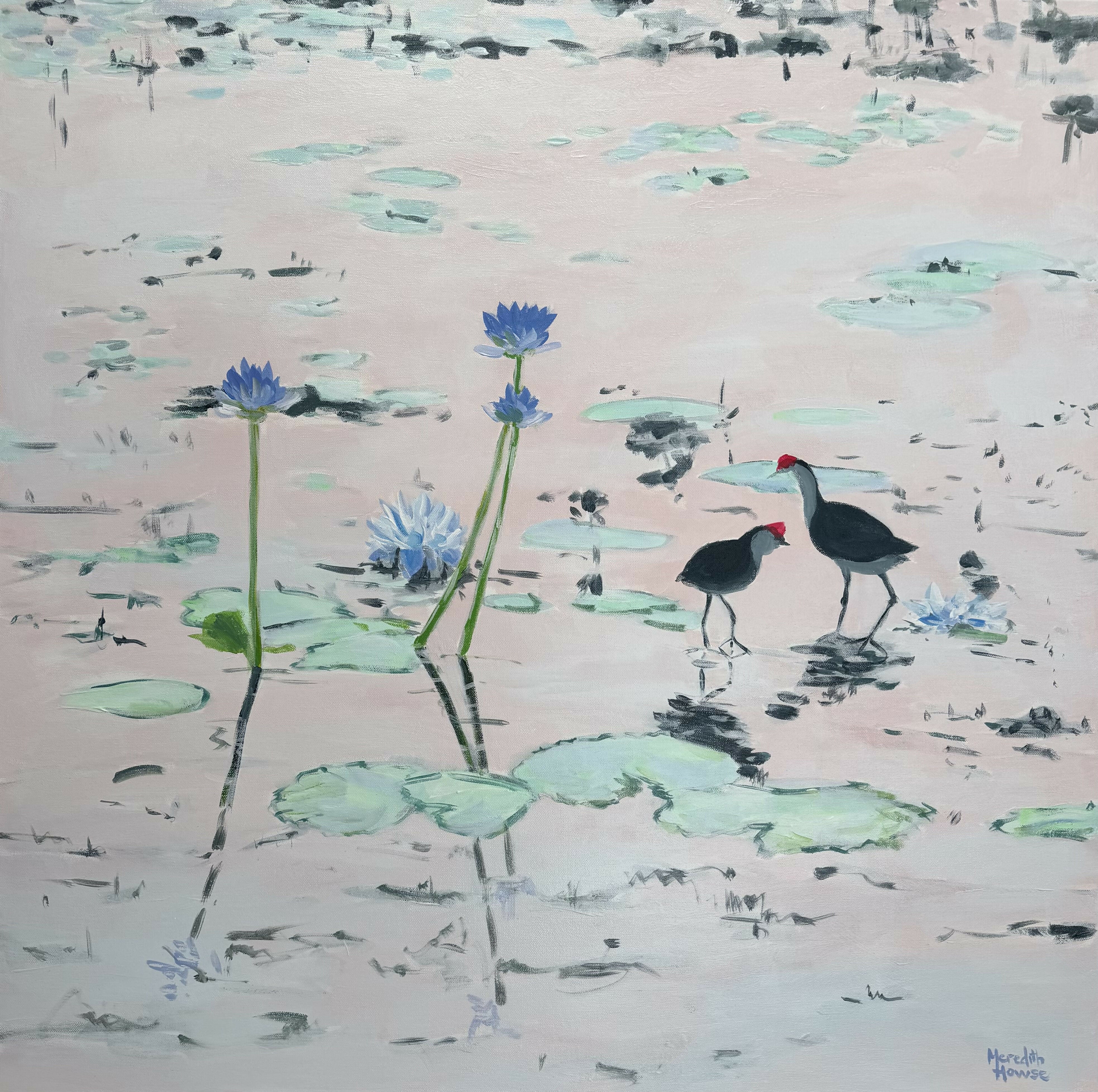 Kakadu Jacana
