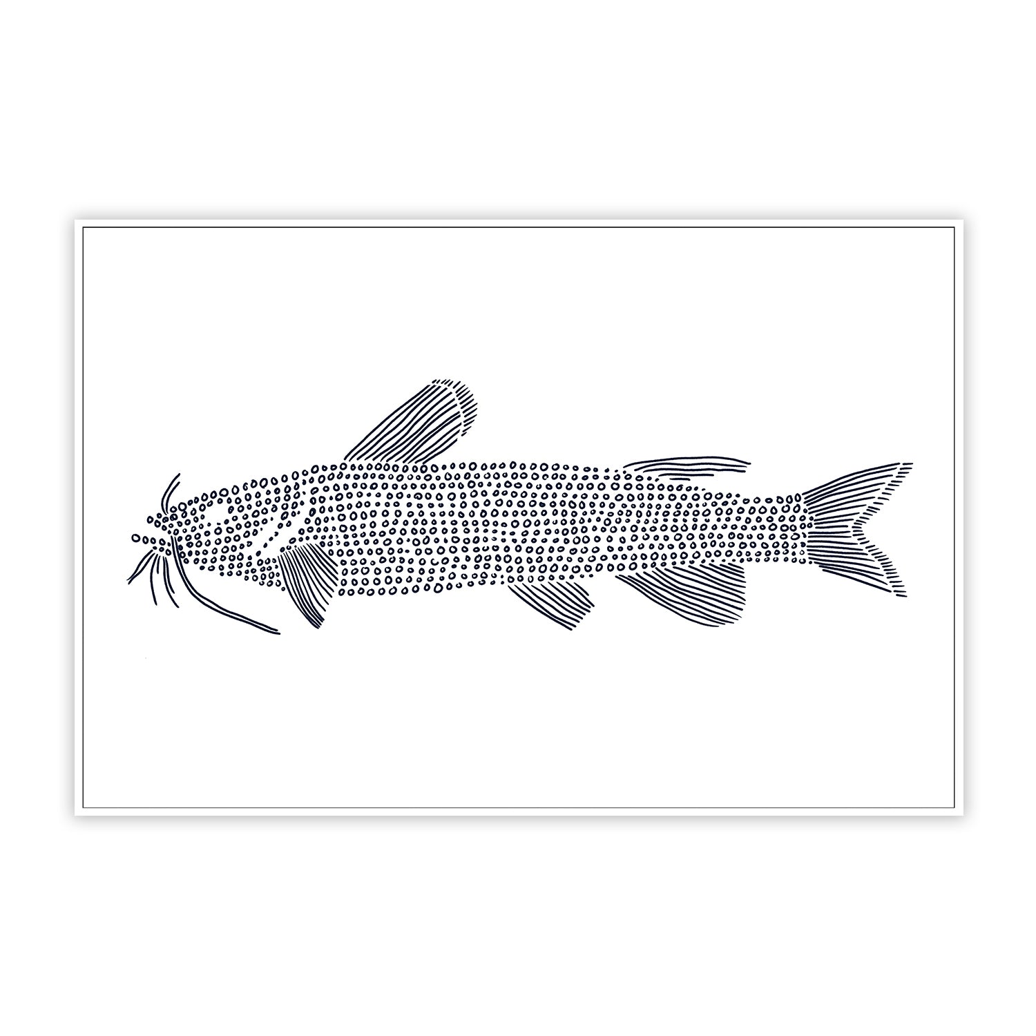 Cat Fish