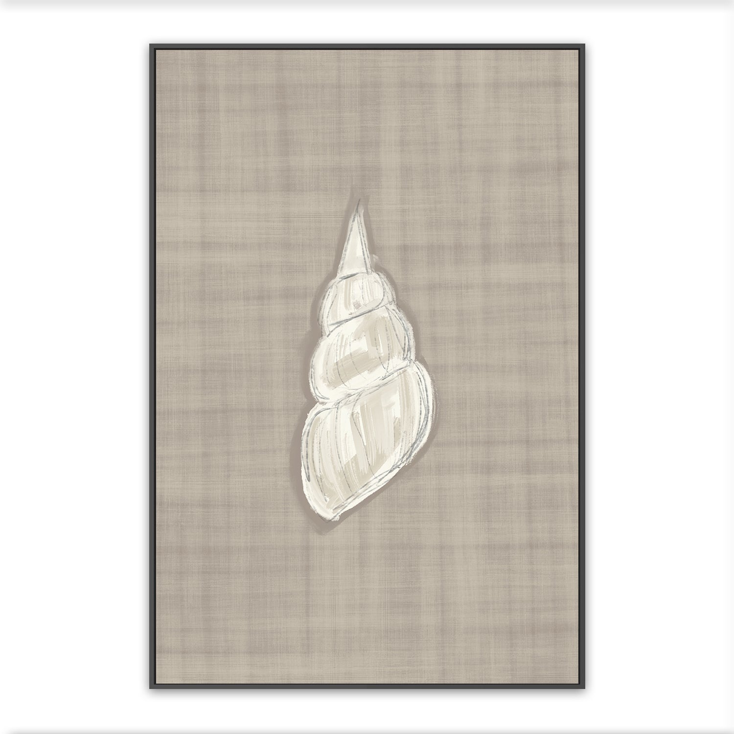 Seashell
