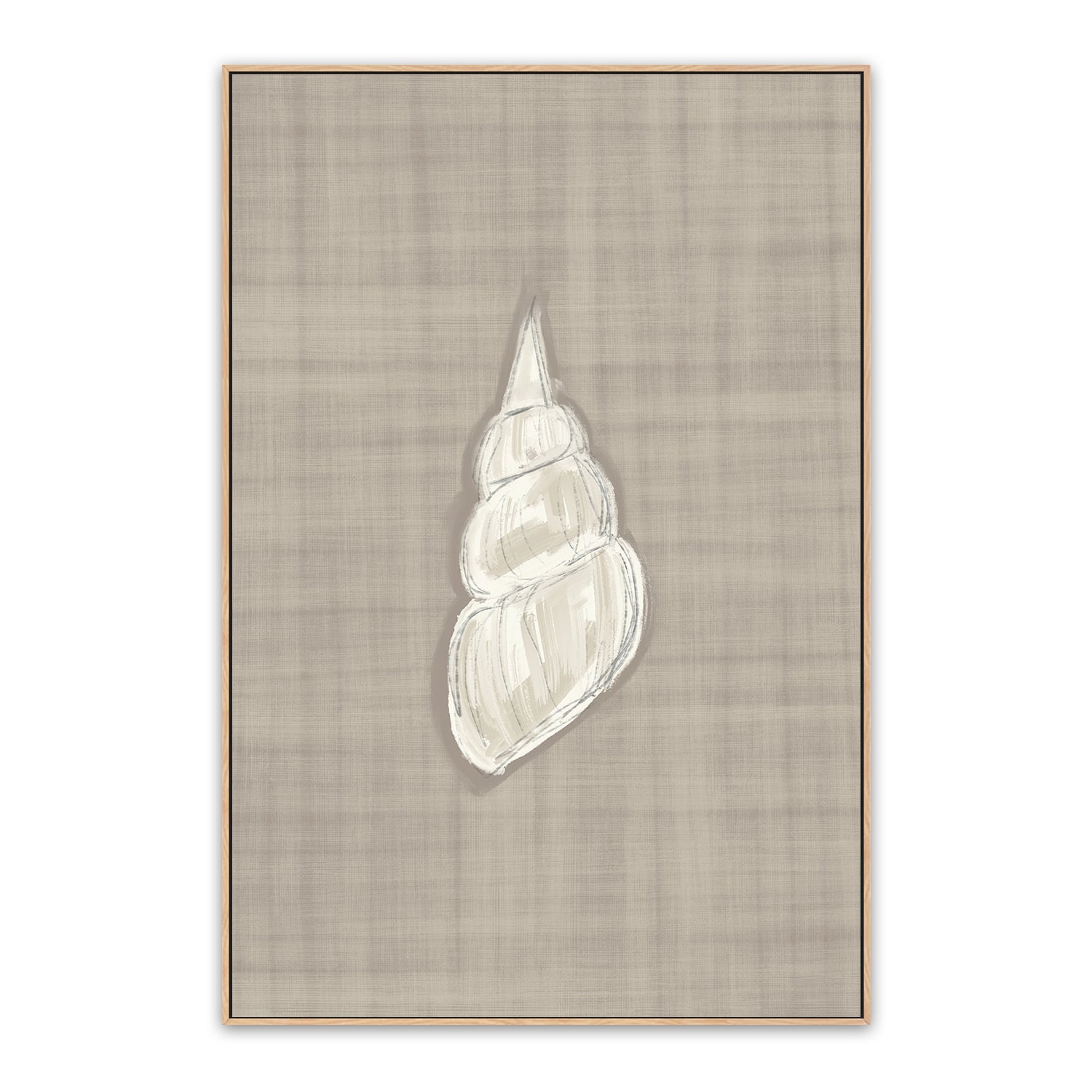 Seashell