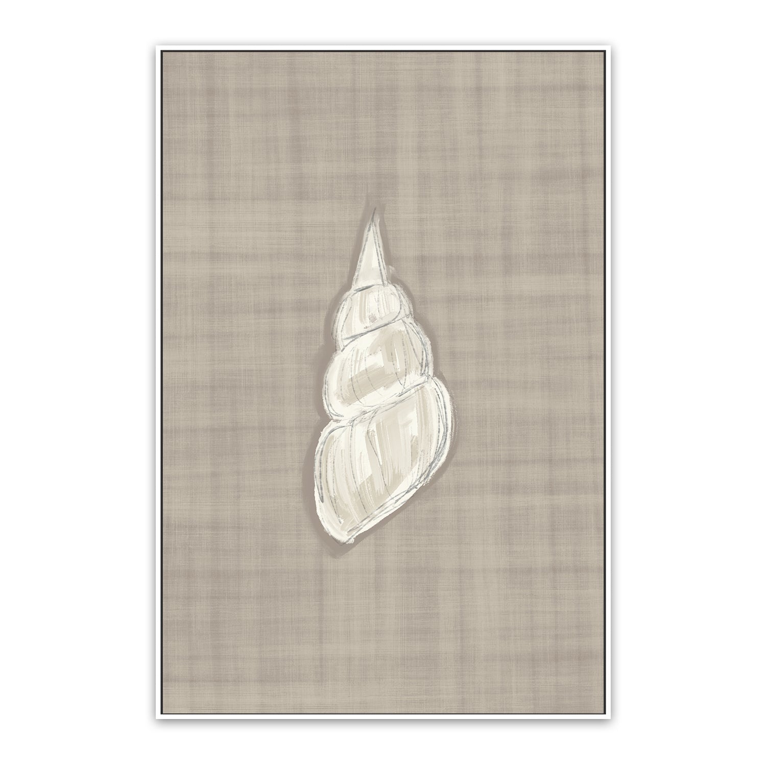 Seashell