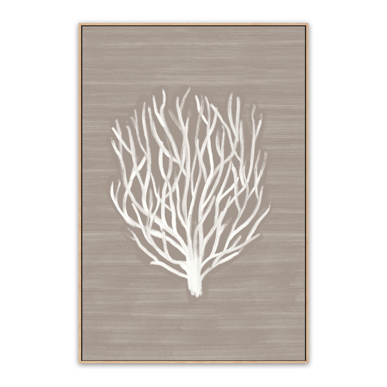 Coral Branch