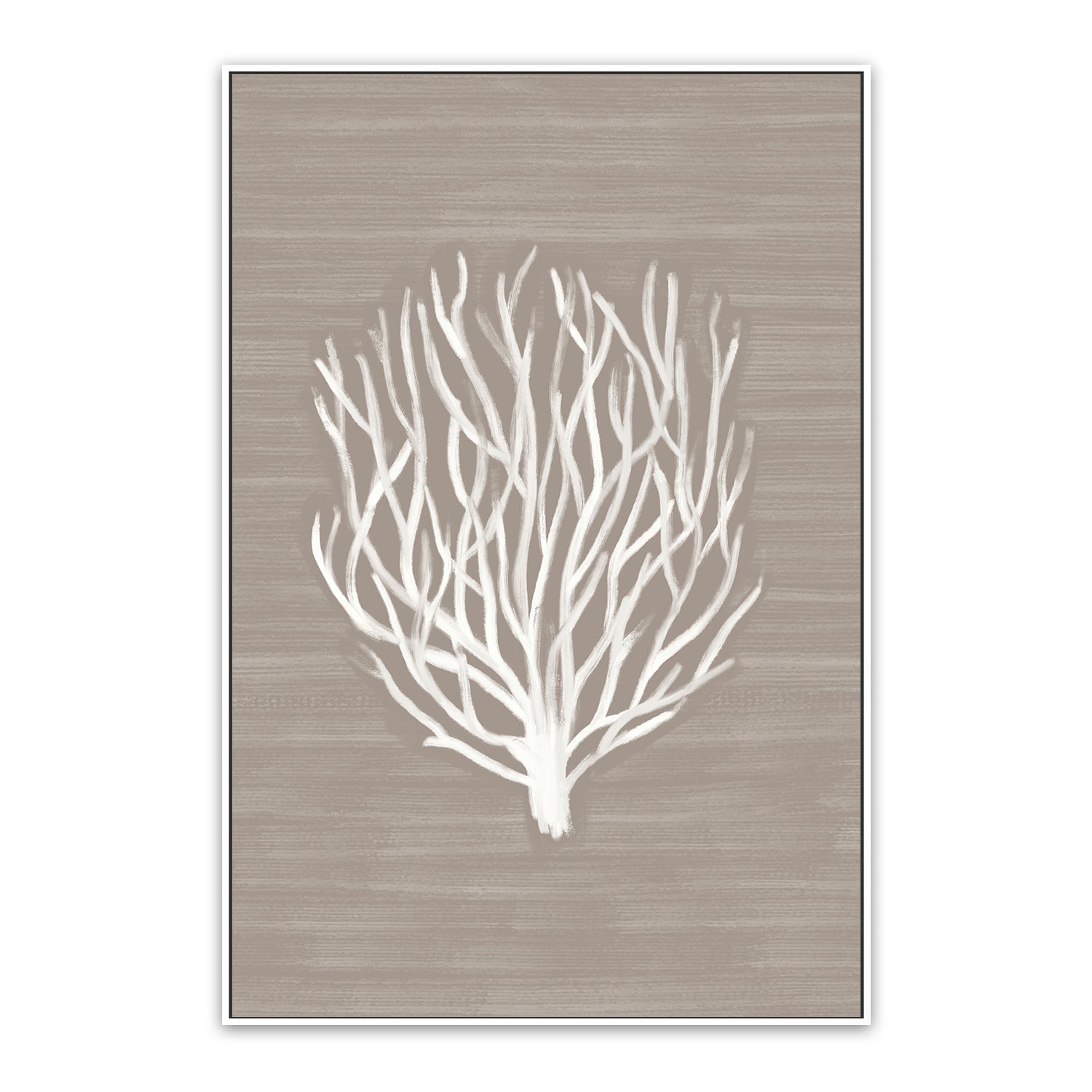 Coral Branch