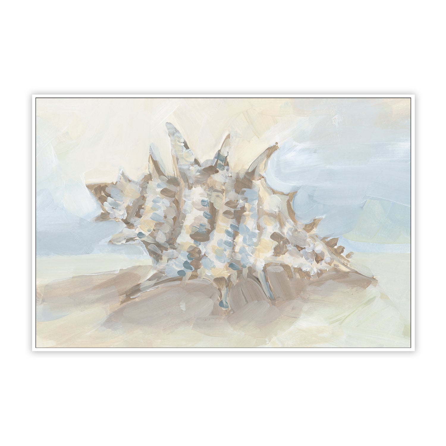 Neutral Coastal Seashell , Style B