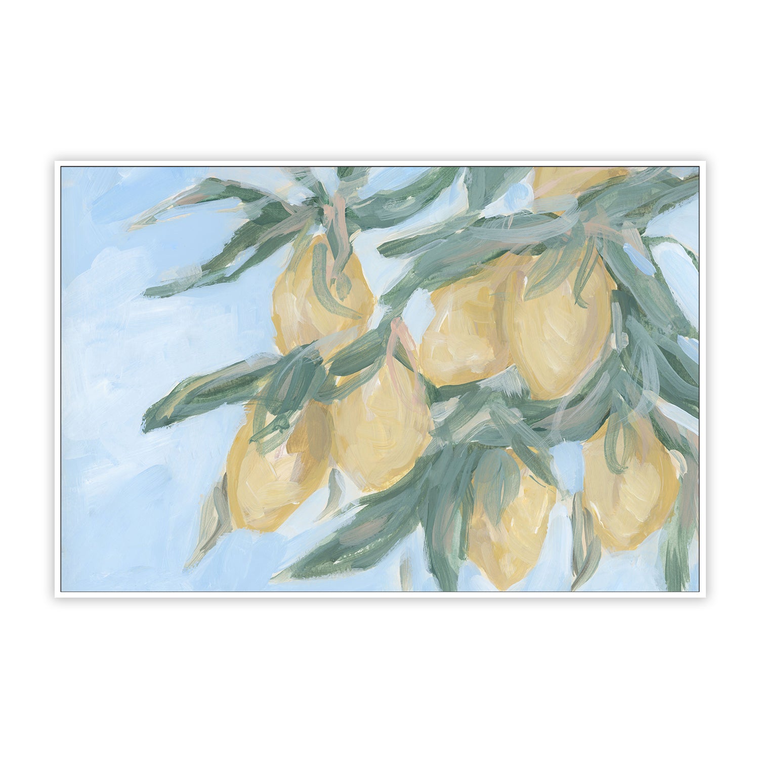 The Lemons Blue