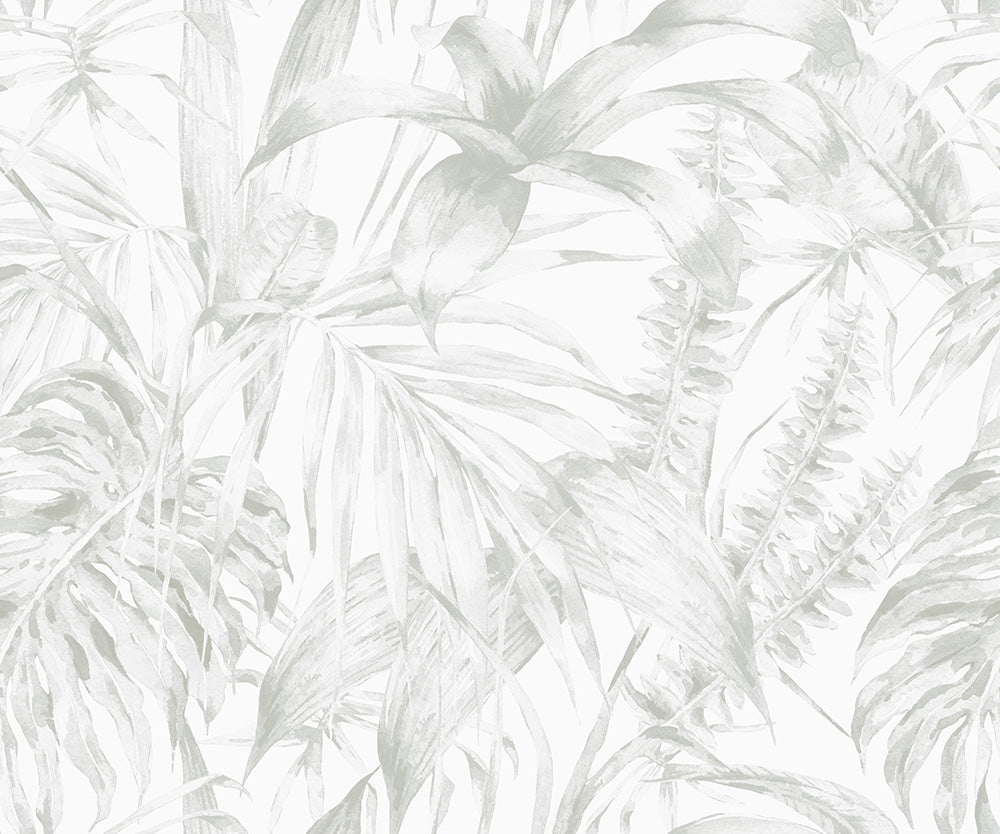 Jungle Green Wallpaper