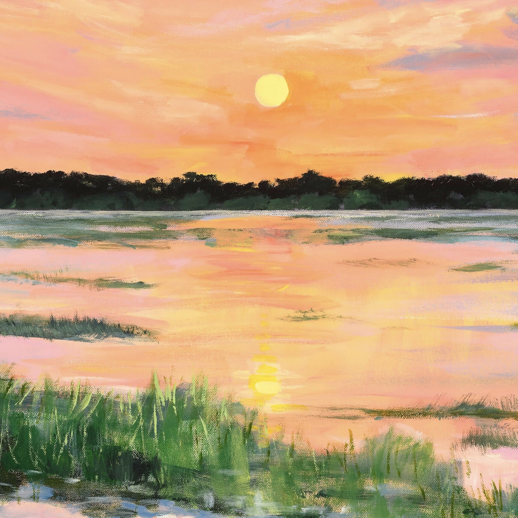 Kakadu Jacana Sunset
