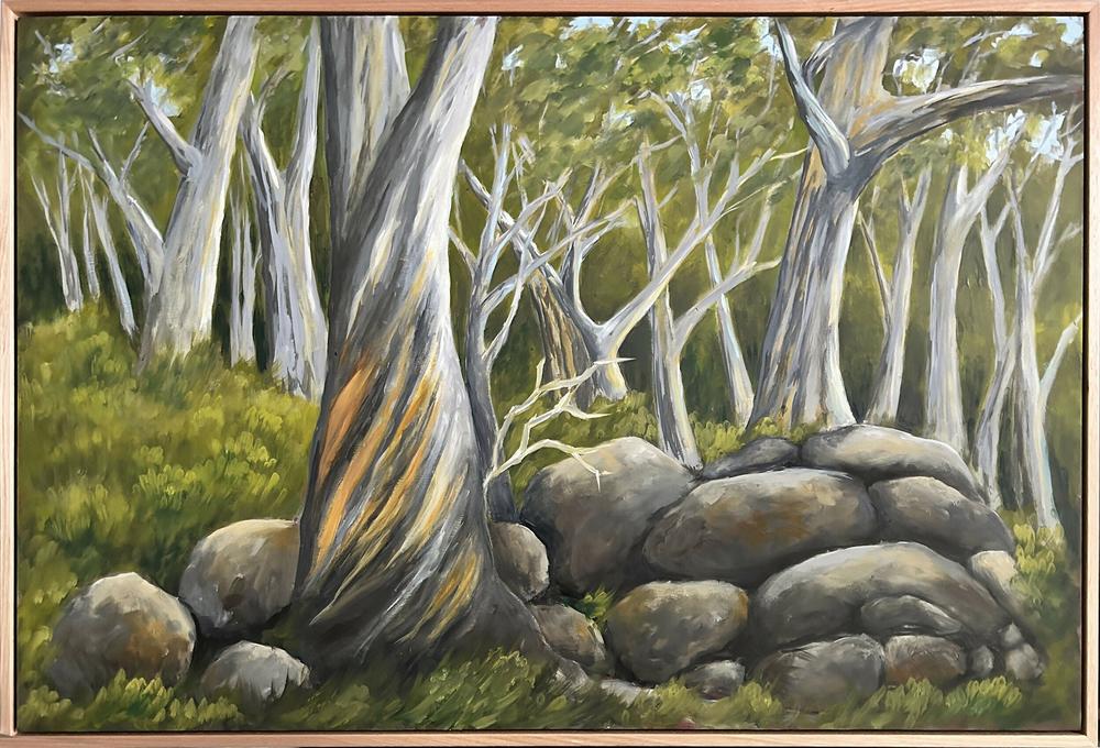 Snow Gums