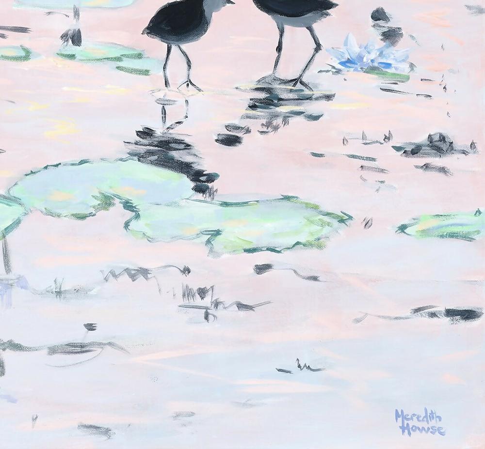 Kakadu Jacana-by-Meredith Howse-original art-Gioia