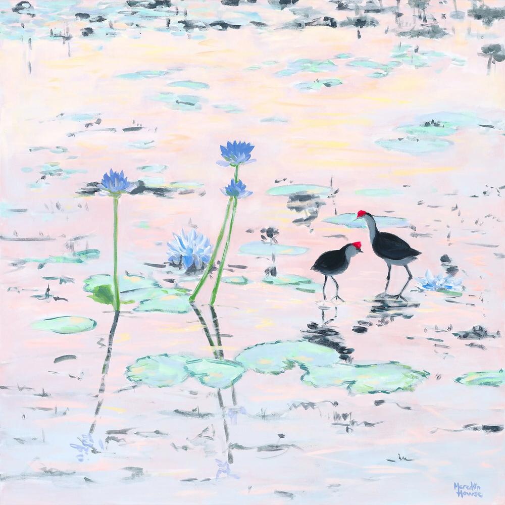 Kakadu Jacana-by-Meredith Howse-original art-Gioia