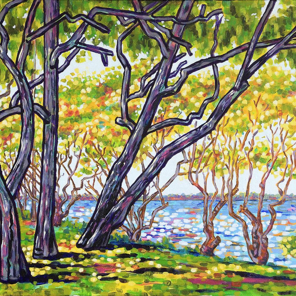 Dappled Sunlight