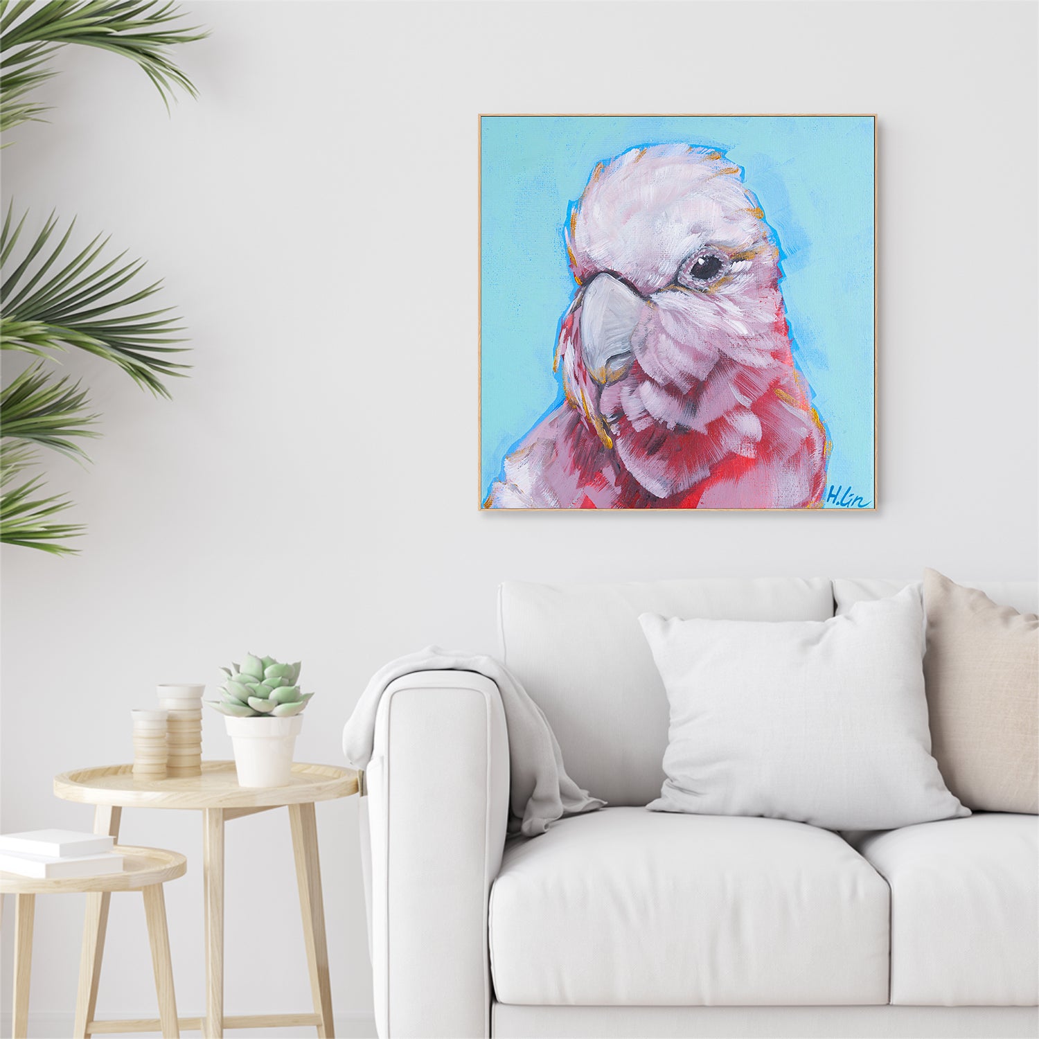 Pink Galah