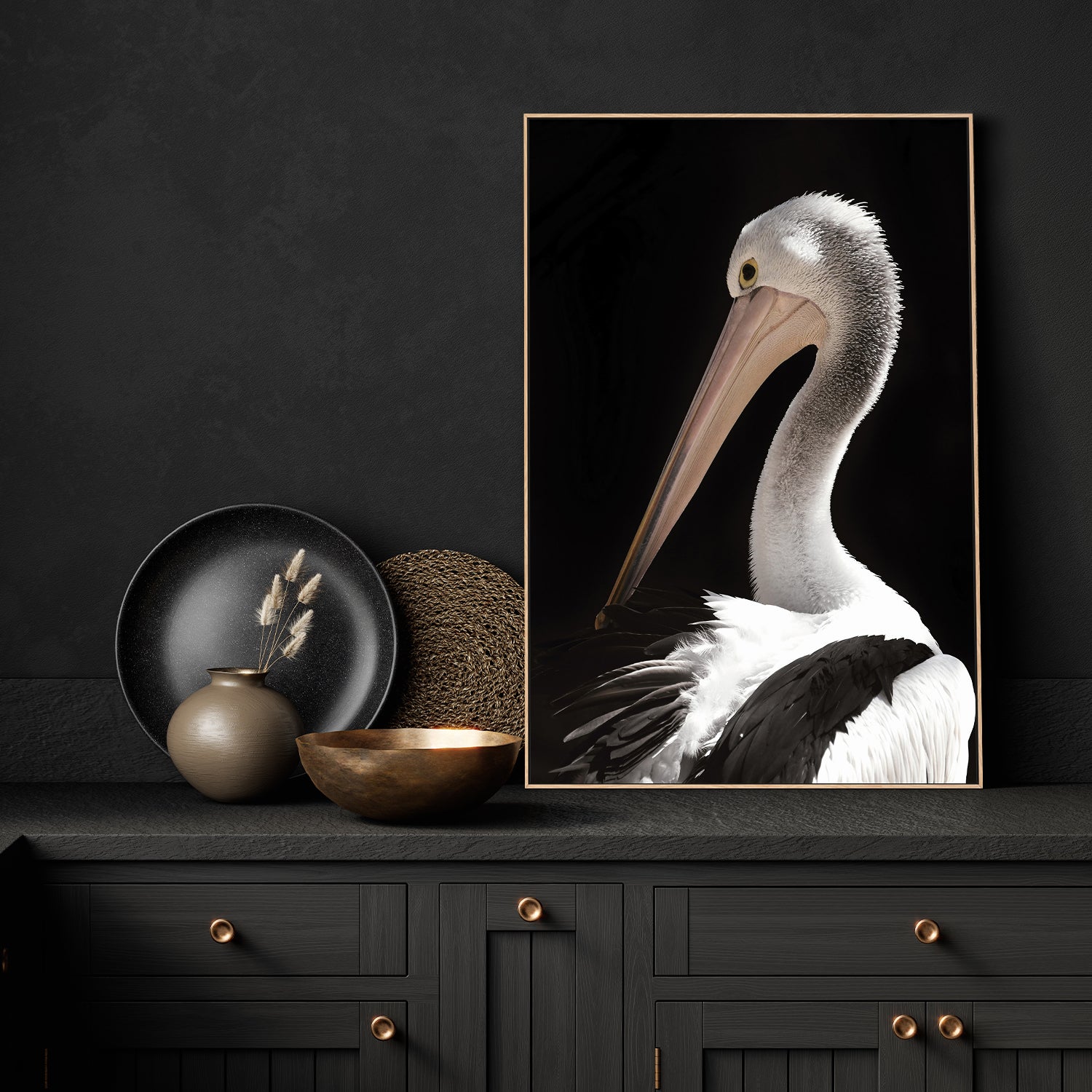 Storm Boy Pelican