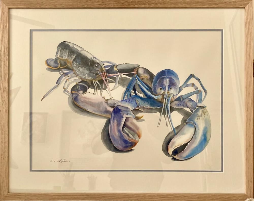 Lobster Duo-by-Carol Forbes Croad-original art-Gioia
