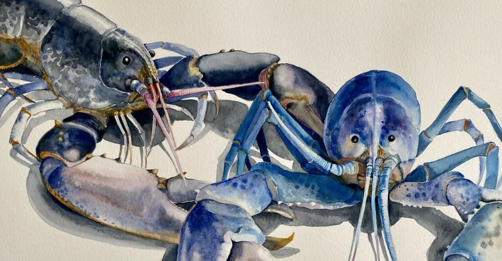 Lobster Duo-by-Carol Forbes Croad-original art-Gioia