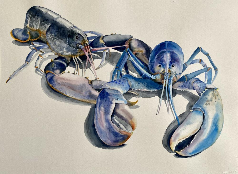 Lobster Duo-by-Carol Forbes Croad-original art-Gioia