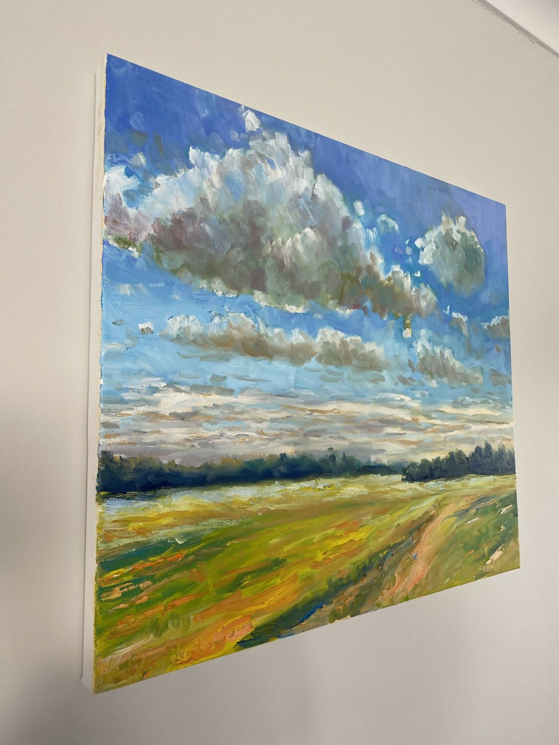 Sky Over Yellow Field