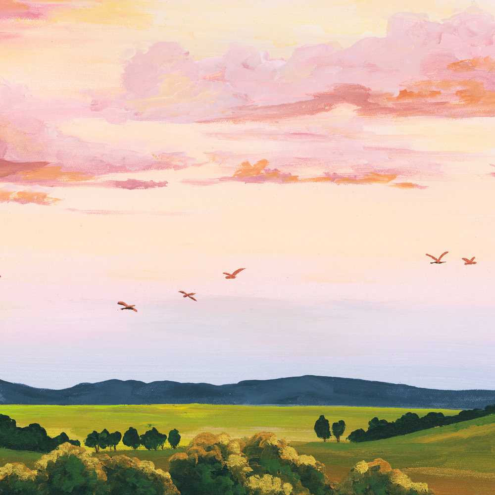 Peachy Skies