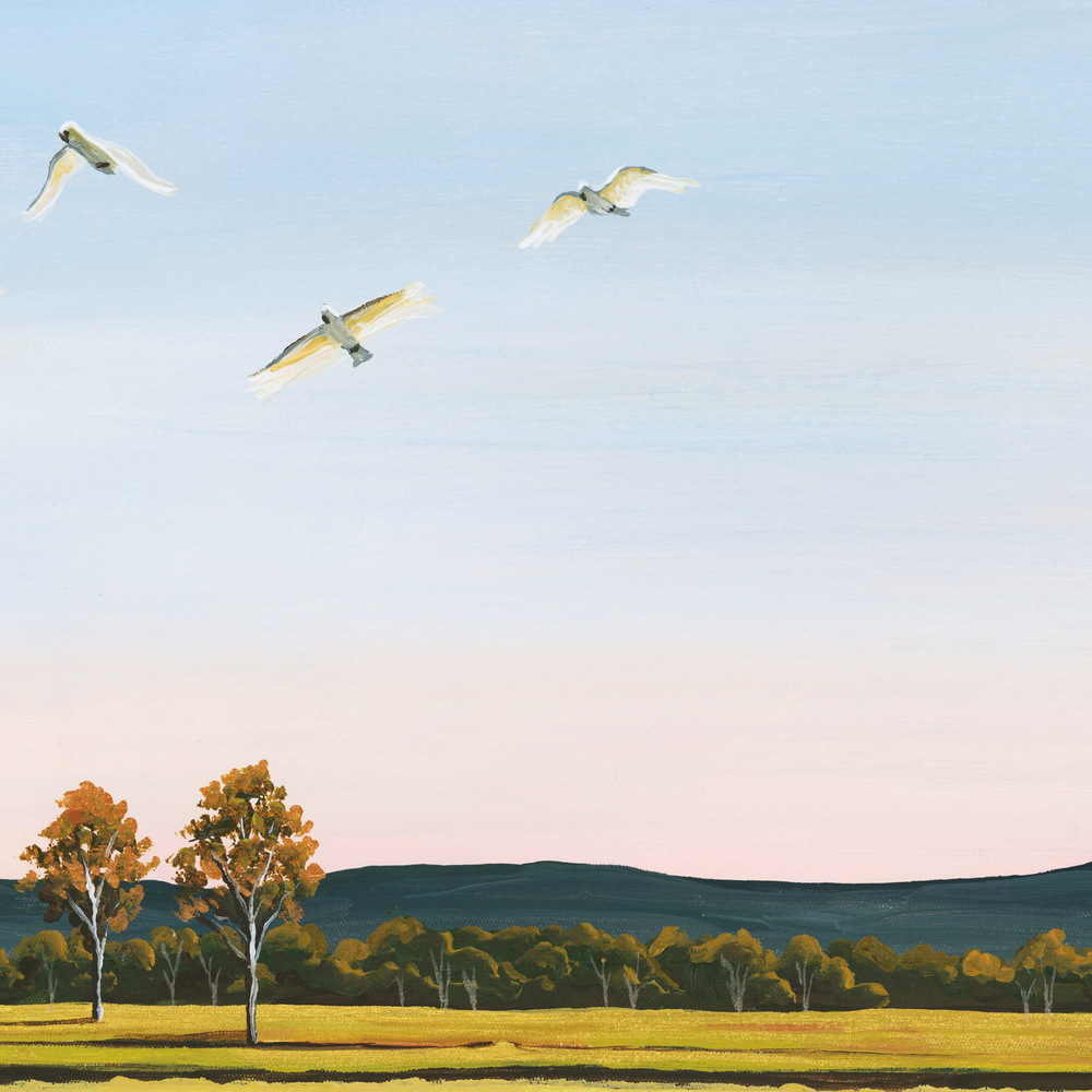 Taking Flight