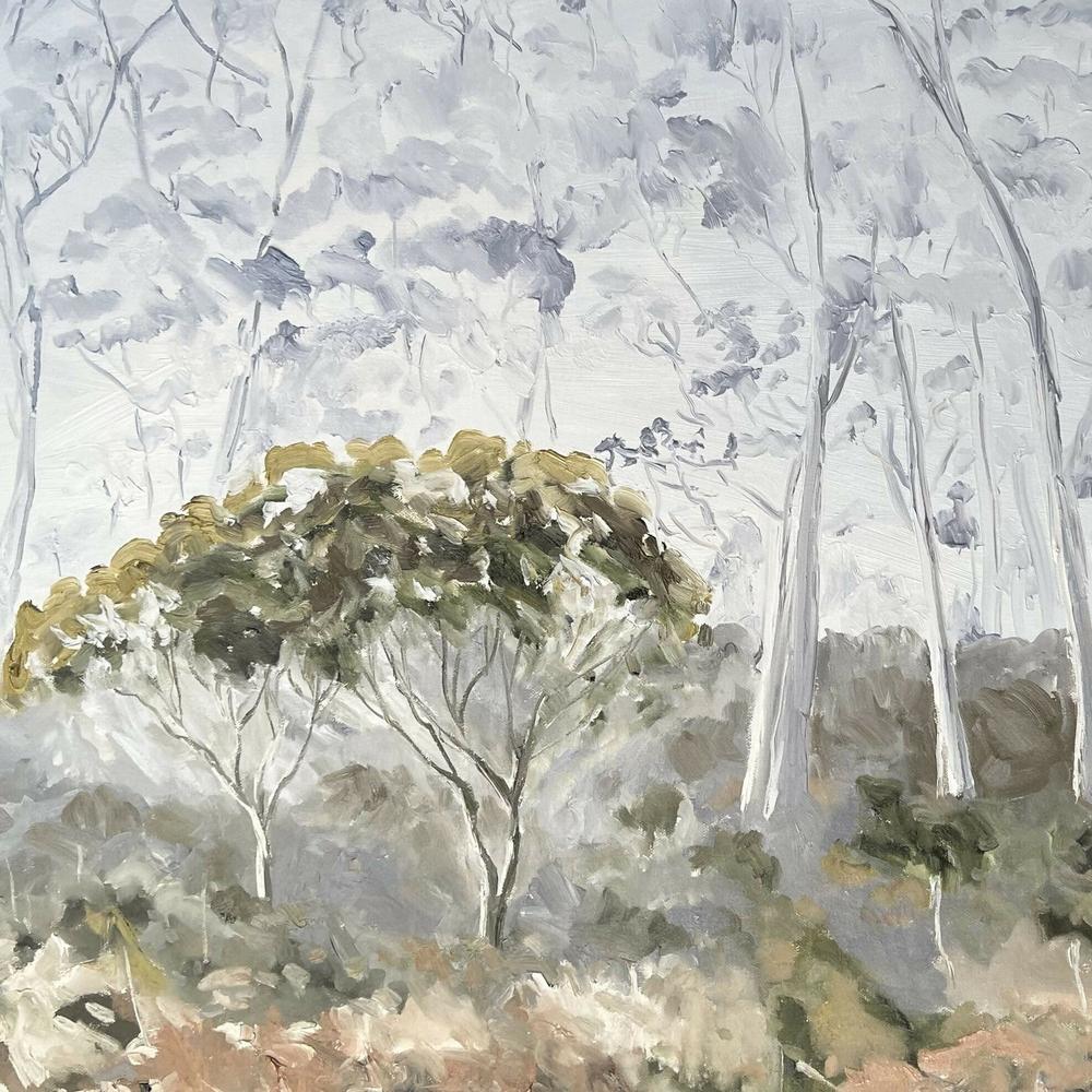 Middlesex Plains, Tasmania. Original hand-painted artwork by Meredith Howse.-by-Meredith Howse-original art-Gioia