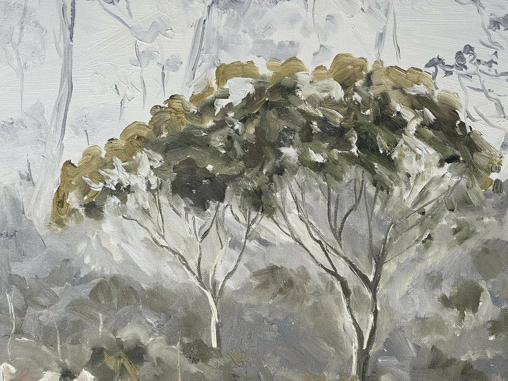 Middlesex Plains, Tasmania. Original hand-painted artwork by Meredith Howse.-by-Meredith Howse-original art-Gioia