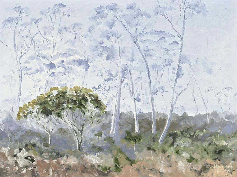 Middlesex Plains, Tasmania. Original hand-painted artwork by Meredith Howse.-by-Meredith Howse-original art-Gioia