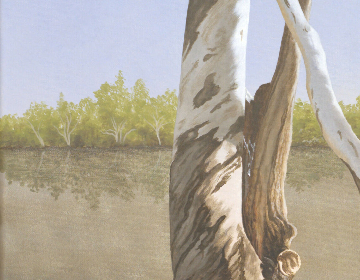 The Gums of Paroo River