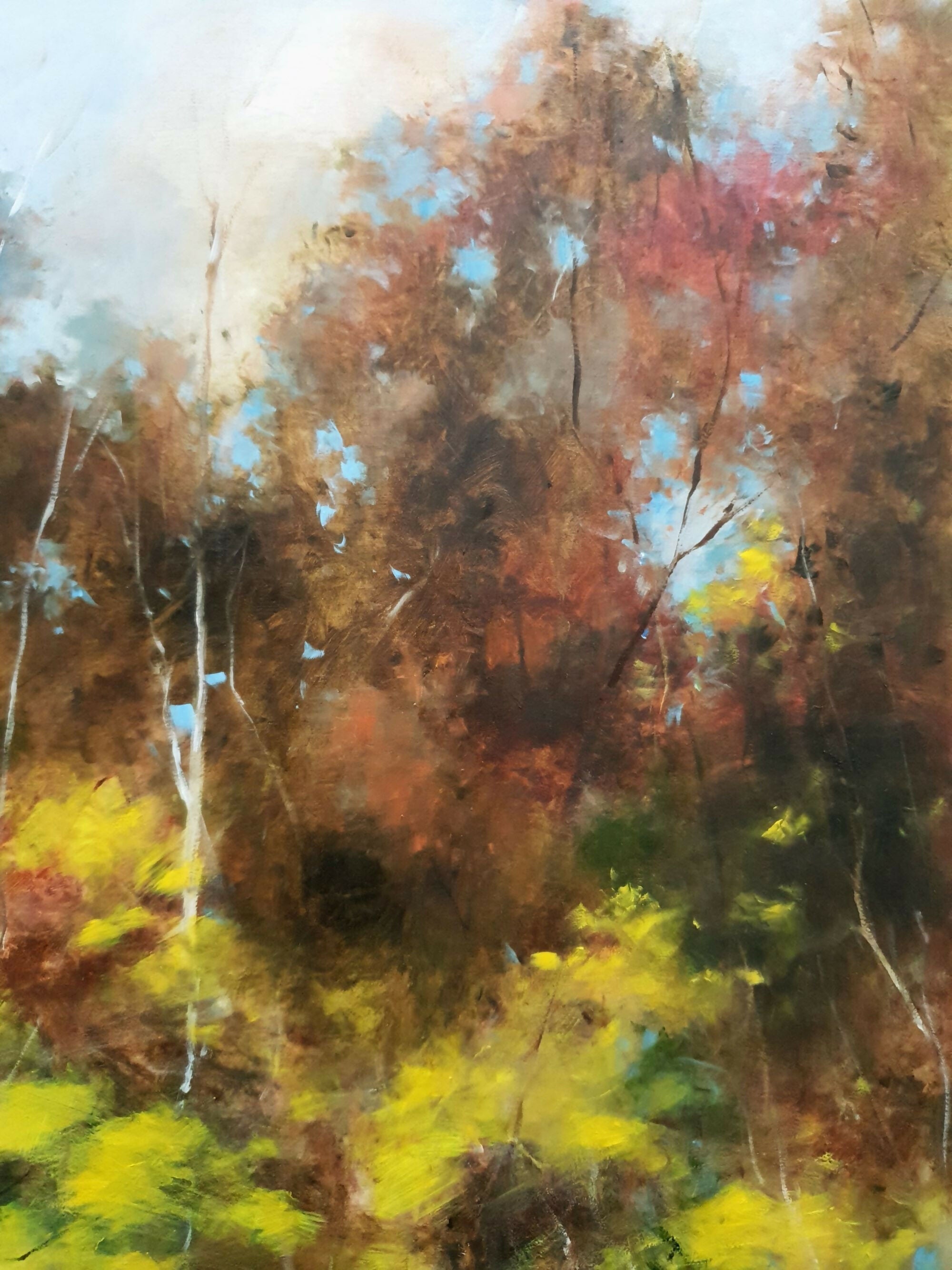 Joy 4 - Fleeting Colour