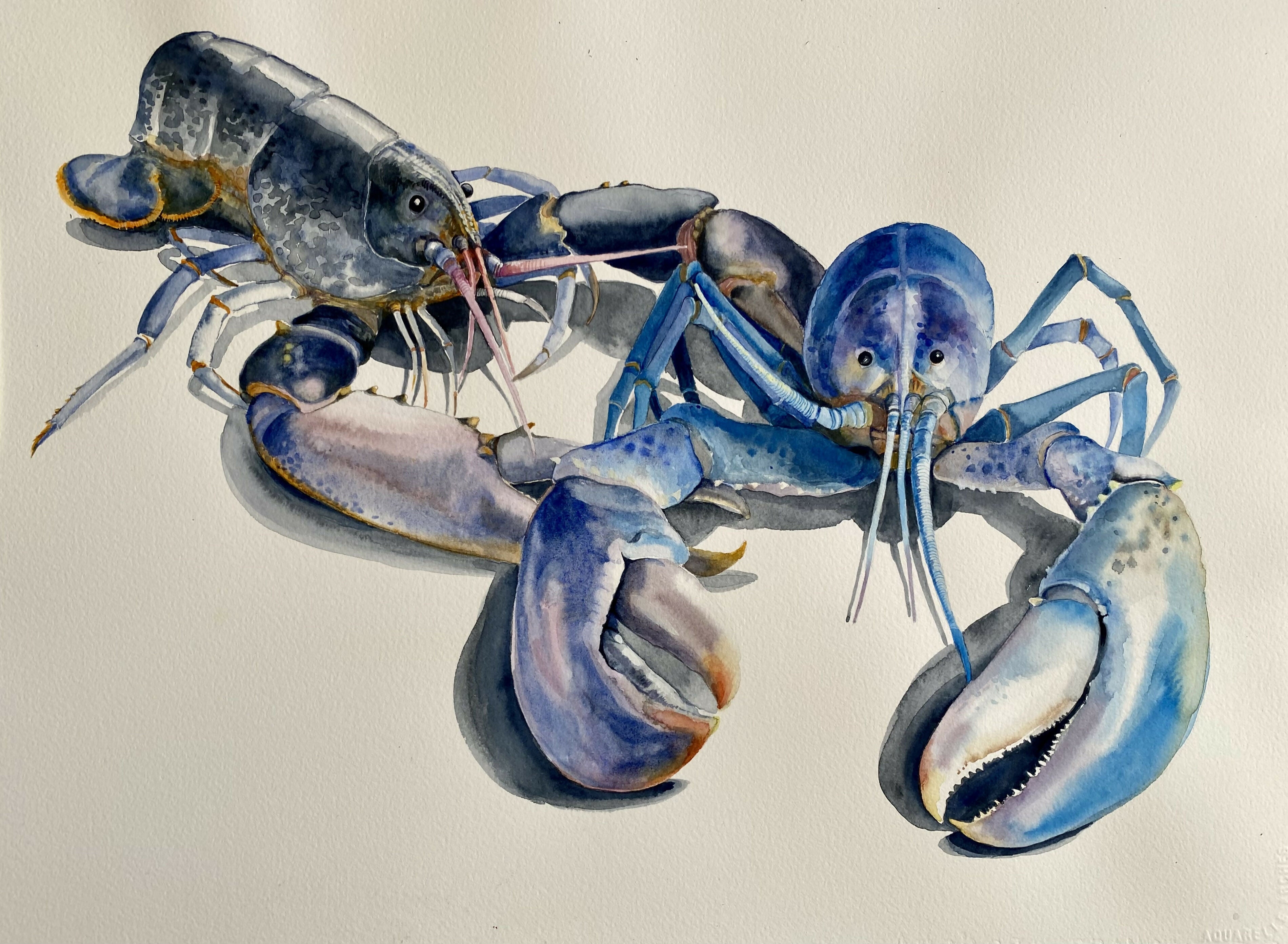 Lobster Duo